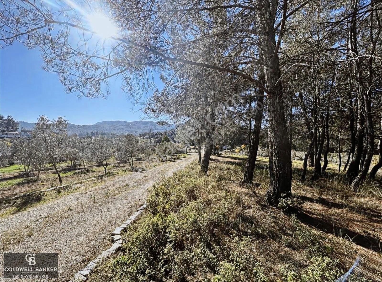 Menderes Yeniköy'de Satılık Tek Tapu Tarla - Görsel 17