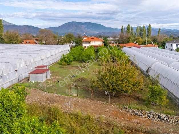Ortaca Sarıgerme Ve İztuzu Denizi Yolu Üzerinde 2 Dönüm Arsa - Görsel 3