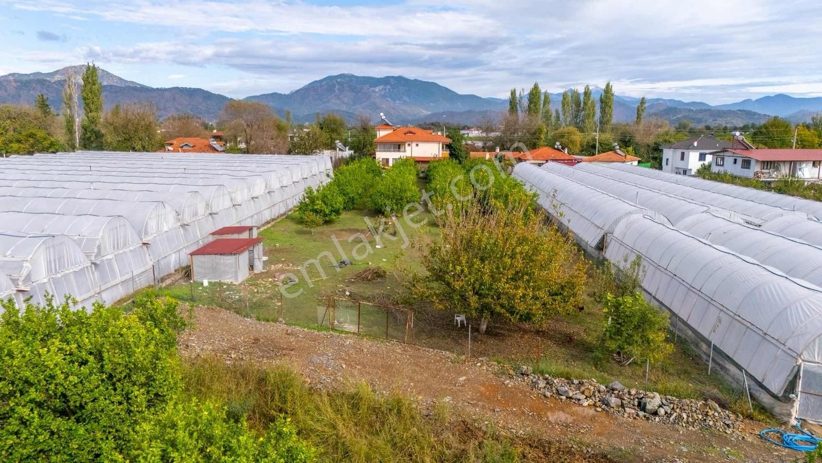Ortaca Sarıgerme Ve İztuzu Denizi Yolu Üzerinde 2 Dönüm Arsa - Görsel 8