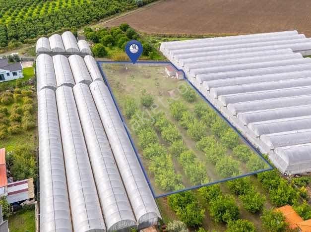 Ortaca Sarıgerme Ve İztuzu Denizi Yolu Üzerinde 2 Dönüm Arsa - Görsel 4