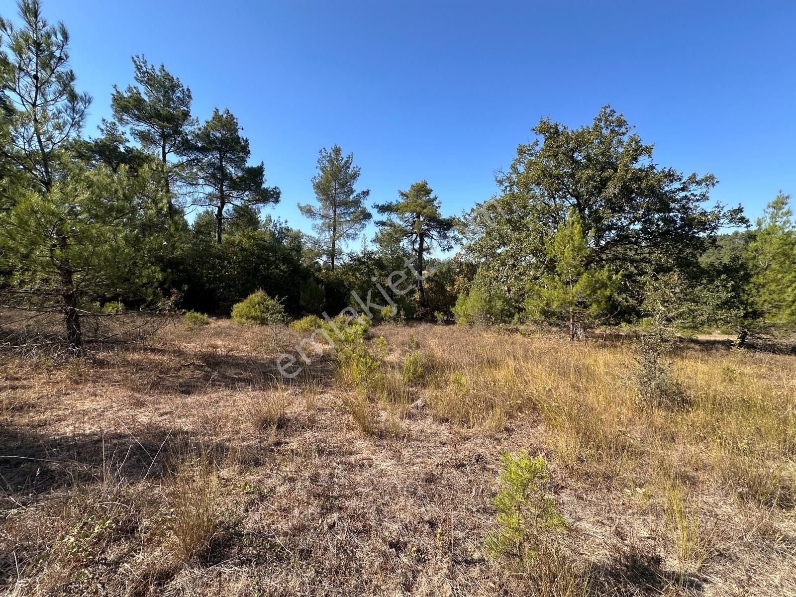 Mera Emlaktan Yenice Kalabakbaşı Mevki 13.850 M2 Müstakil Tarla - Görsel 31