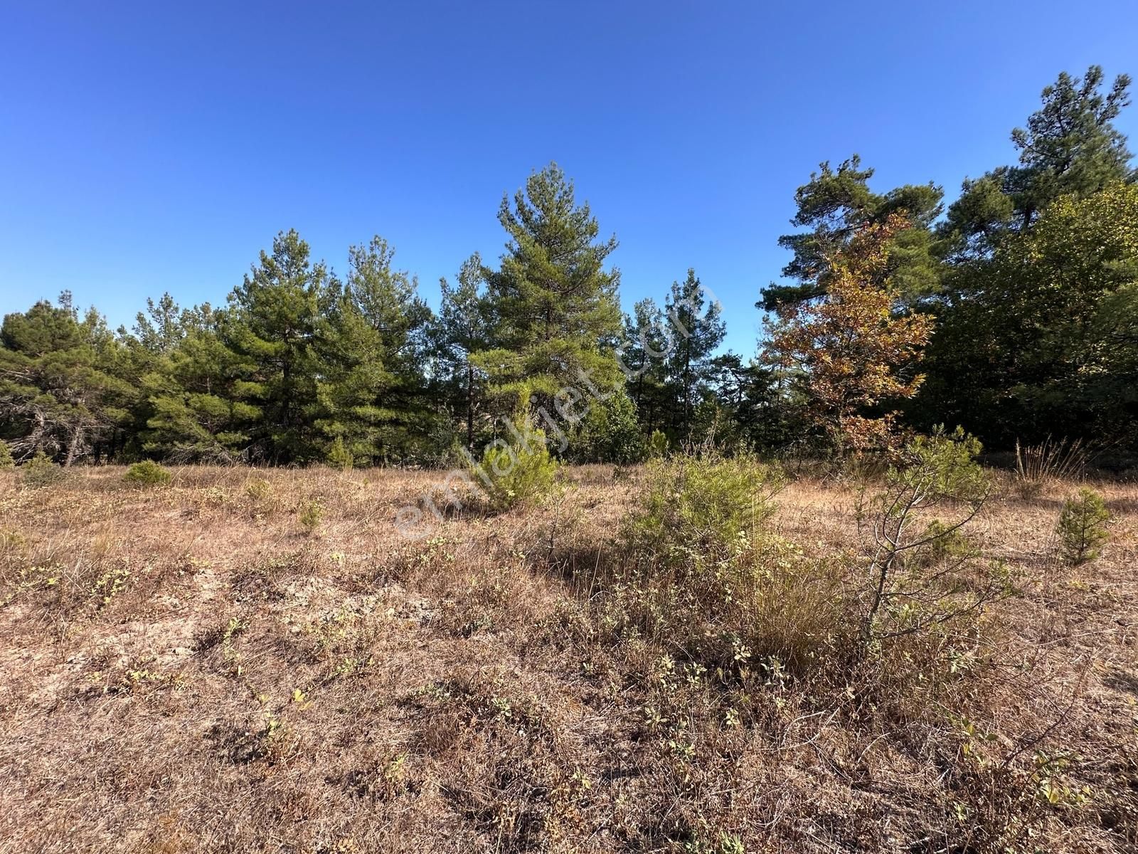 Mera Emlaktan Yenice Kalabakbaşı Mevki 13.850 M2 Müstakil Tarla - Görsel 30