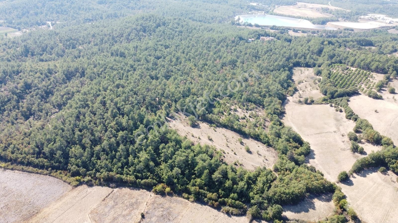 Mera Emlaktan Yenice Kalabakbaşı Mevki 13.850 M2 Müstakil Tarla - Görsel 21