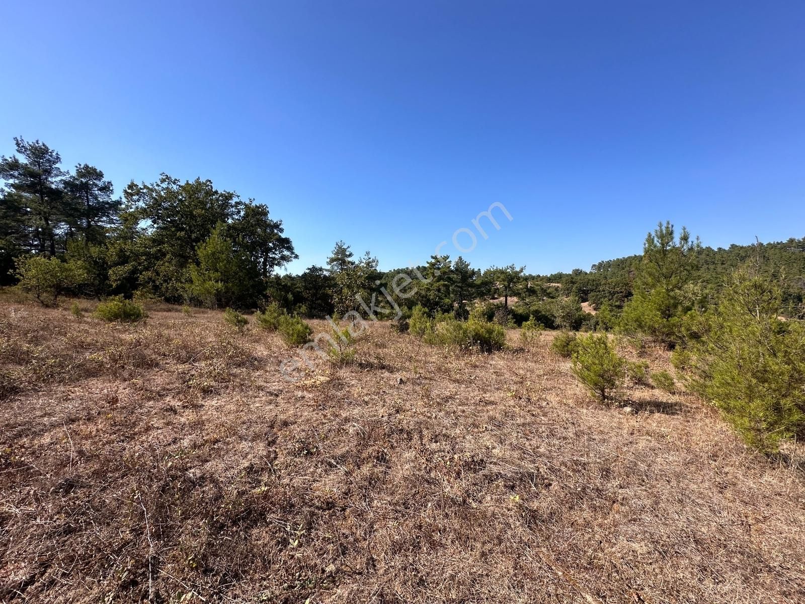 Mera Emlaktan Yenice Kalabakbaşı Mevki 13.850 M2 Müstakil Tarla - Görsel 16