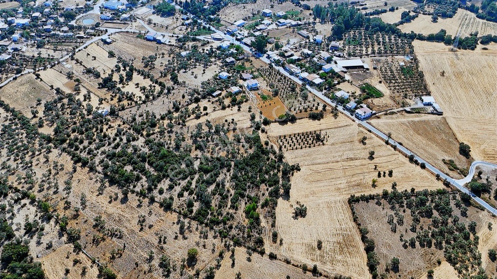Cb Marina'dan Bodrum Pınarlıbelen'de 6880 M2 Satılık Zeytinlik - Görsel 23