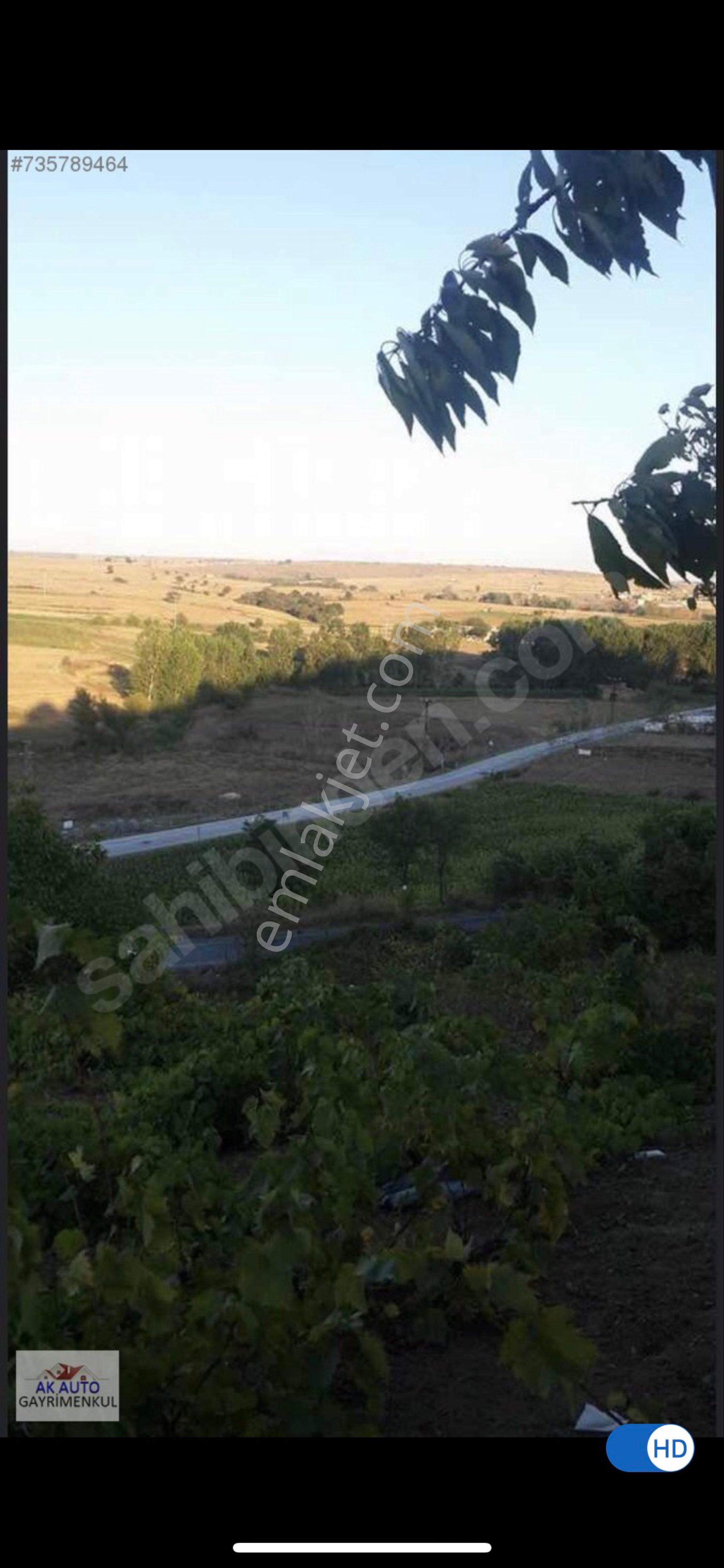 Tekirdağ Süleymanpaşa Bıyıkali Mahallesi Satılık Bağ Bahçe - Görsel 3