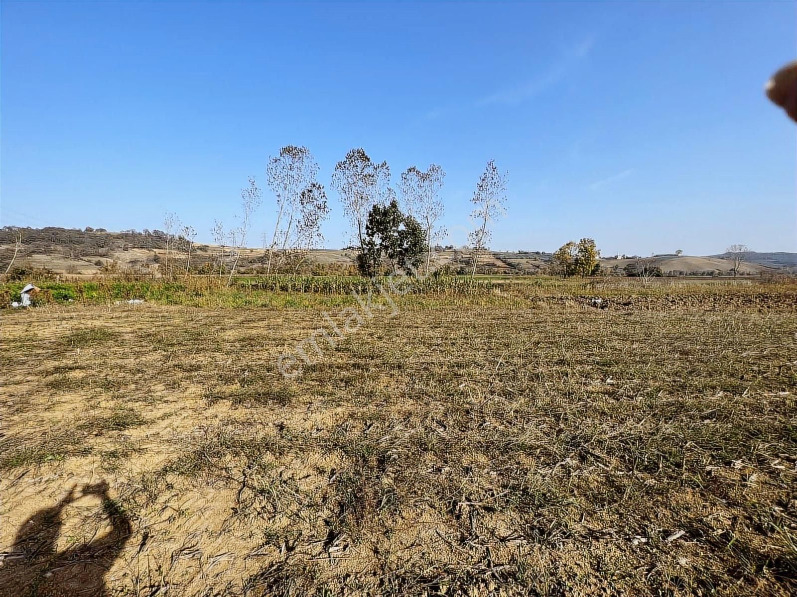 Acillllll Gelişen Bölgede Şekilli Parsel - Görsel 12