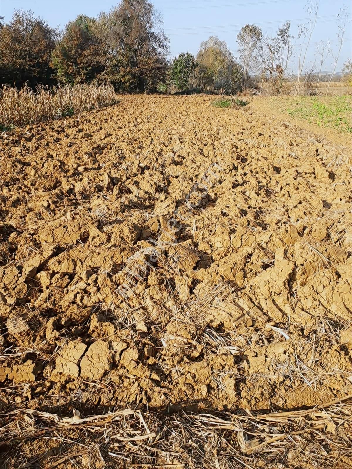 Acillllll Gelişen Bölgede Şekilli Parsel - Görsel 6