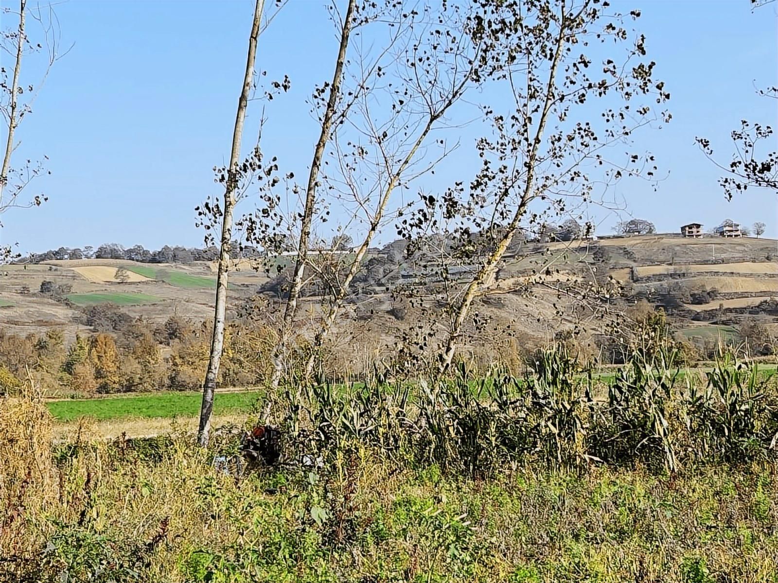 Acillllll Gelişen Bölgede Şekilli Parsel - Görsel 10