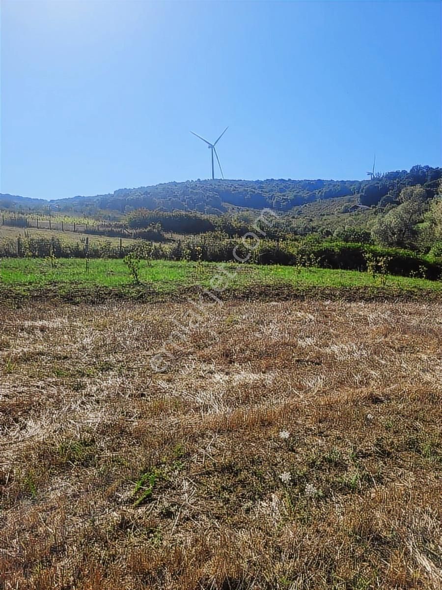 Kandıra Bollu Da Denize Köye Yakın Turizm Bölgesinde - Görsel 32