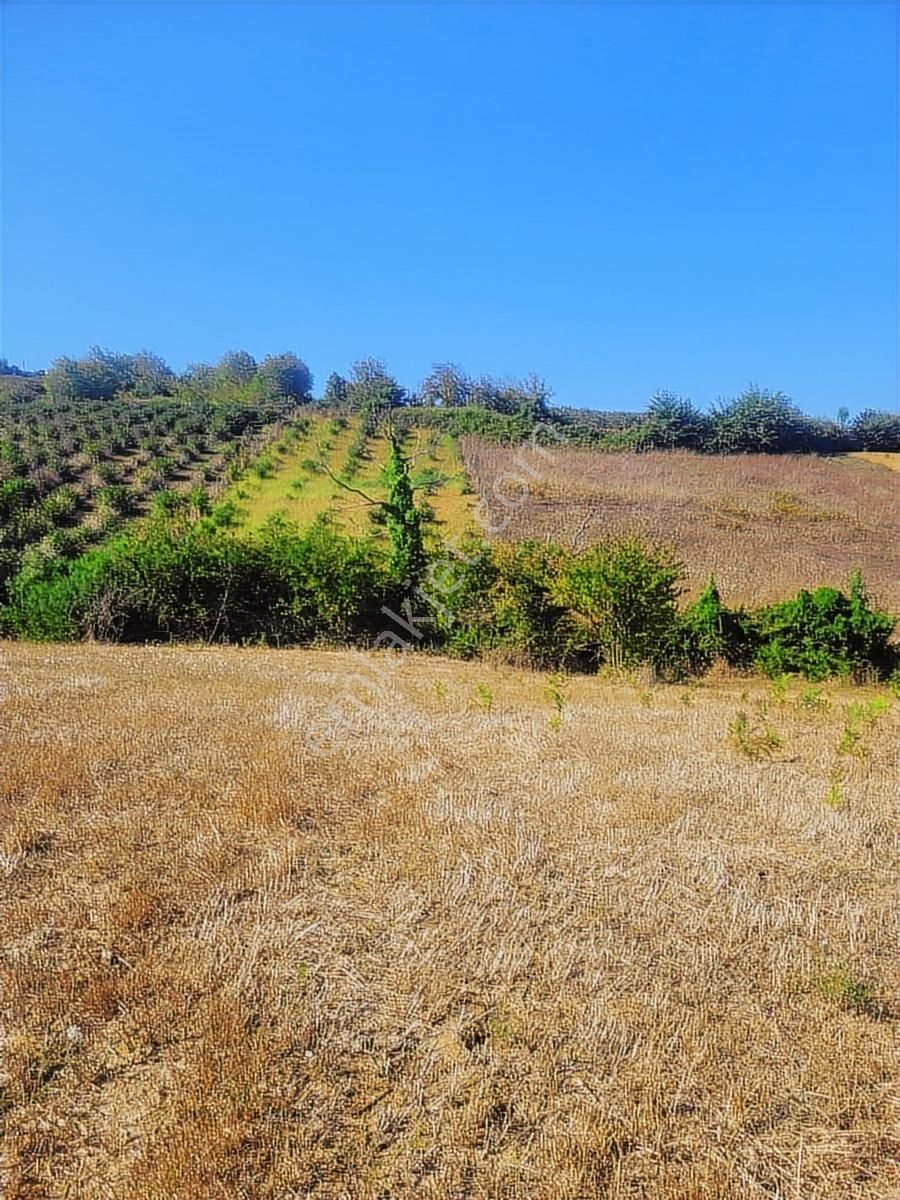 Kandıra Bollu Da Denize Köye Yakın Turizm Bölgesinde - Görsel 33