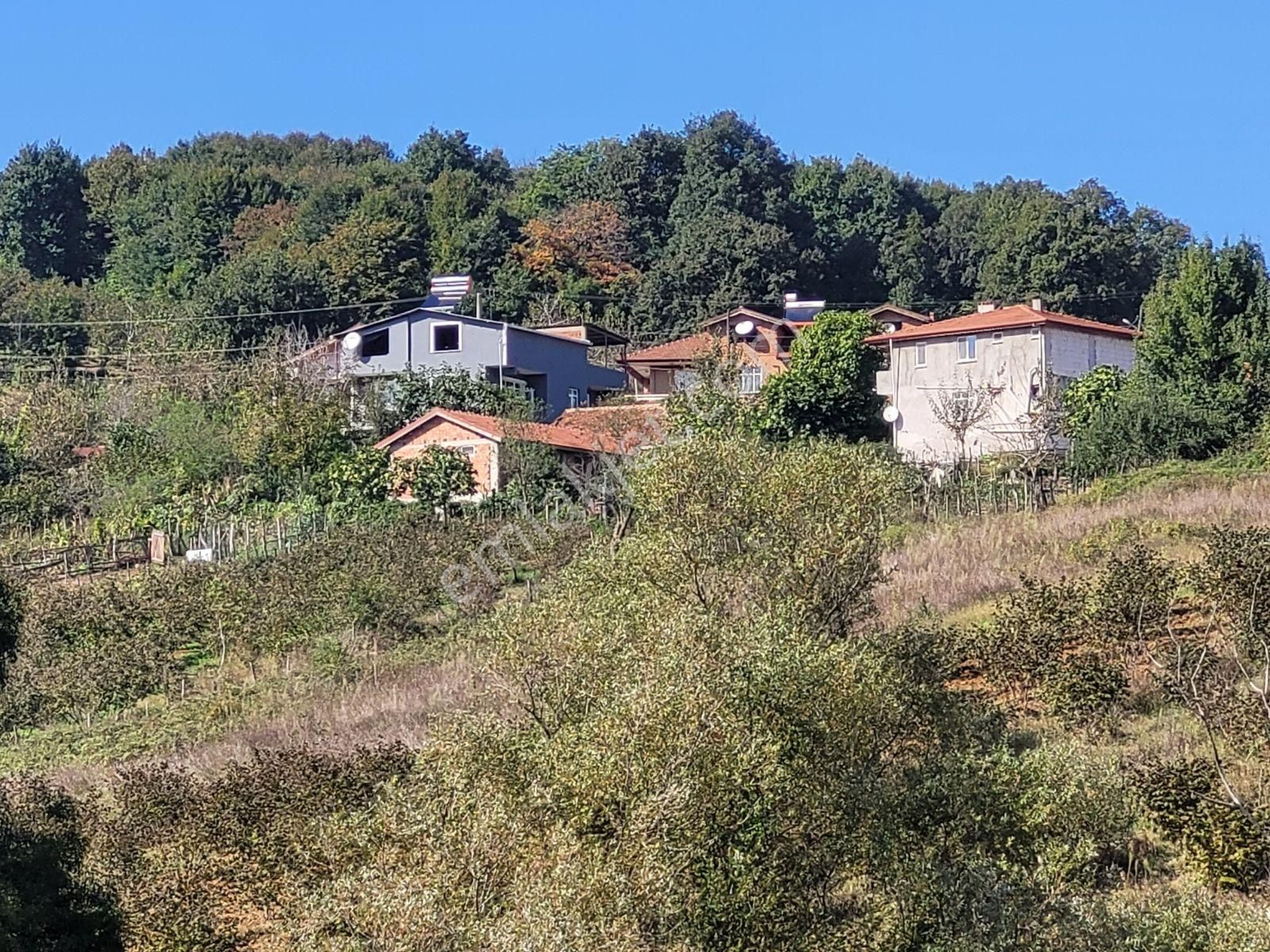 Kandıra Bollu Da Denize Köye Yakın Turizm Bölgesinde