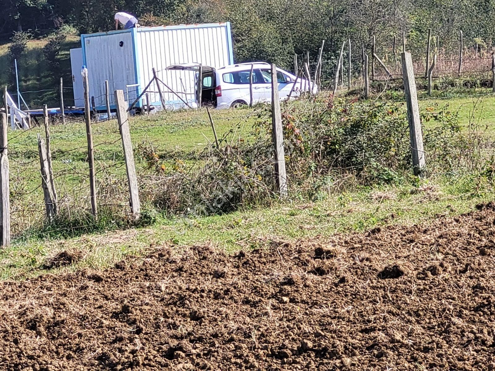 Kandıra Bollu Da Denize Köye Yakın Turizm Bölgesinde - Görsel 34