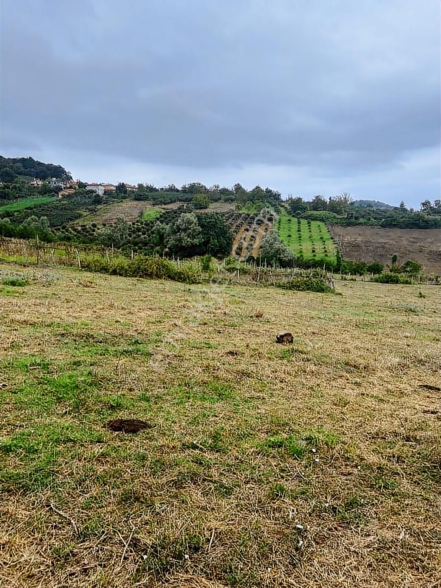 Kandıra Bollu Da Denize Köye Yakın Turizm Bölgesinde - Görsel 9