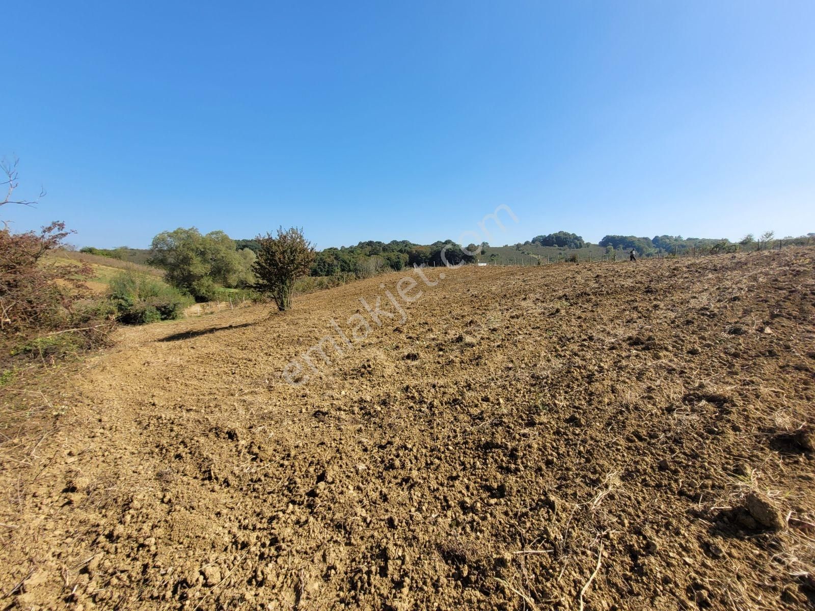 Kandıra Bollu Da Denize Köye Yakın Turizm Bölgesinde - Görsel 13