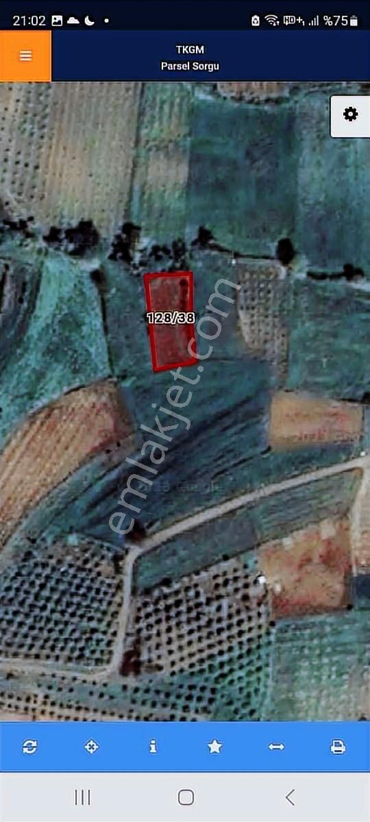 Kandıra Bollu Da Denize Köye Yakın Turizm Bölgesinde - Görsel 25