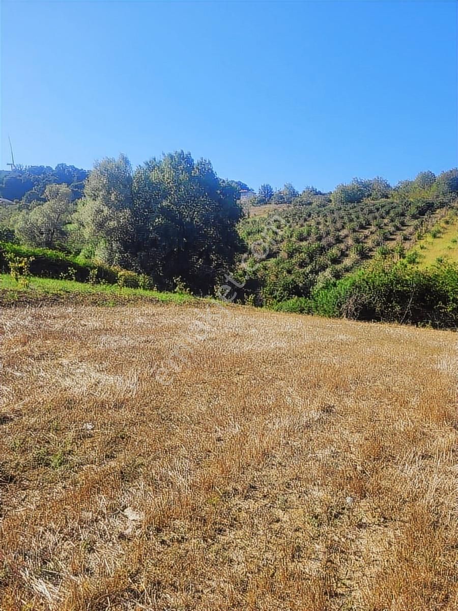 Kandıra Bollu Da Denize Köye Yakın Turizm Bölgesinde - Görsel 29