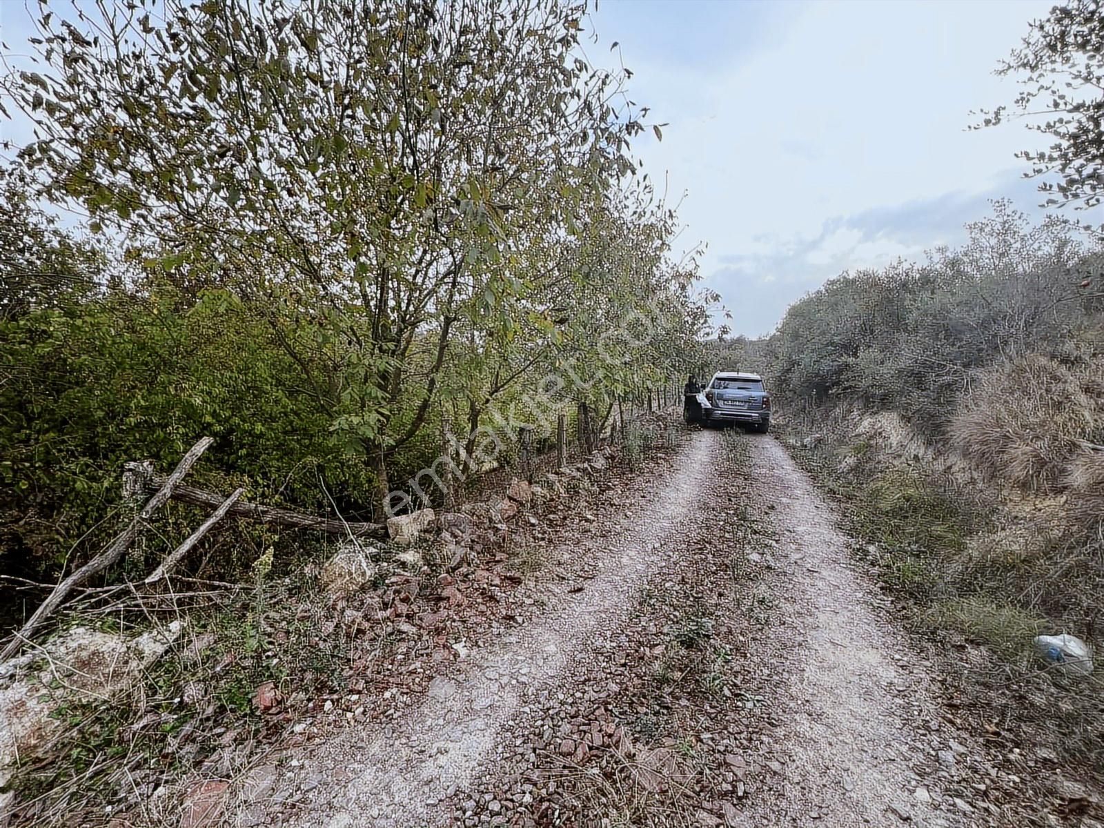 Aciliyetten Yollu Fındıklık Şekilli Fırsat Yer - Görsel 2