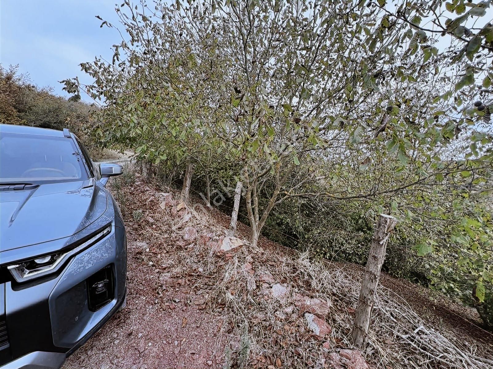 Aciliyetten Yollu Fındıklık Şekilli Fırsat Yer - Görsel 4