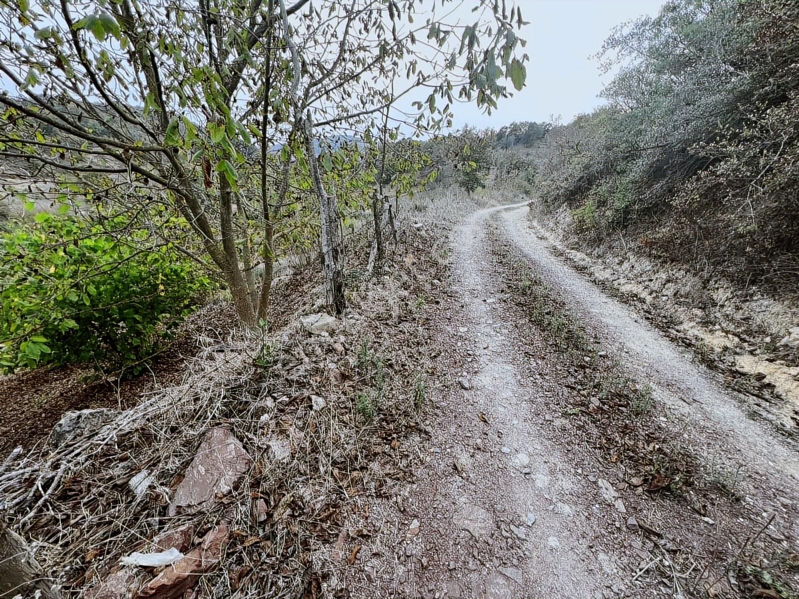 Aciliyetten Yollu Fındıklık Şekilli Fırsat Yer - Görsel 6