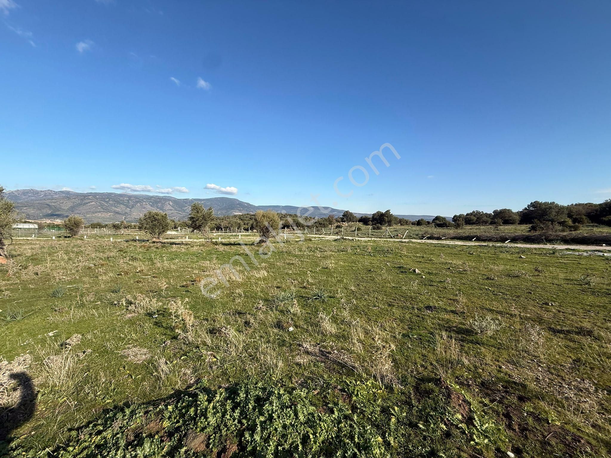 Menemen Emiralem Yayla Mah Kooperatıf Arsa Eklektırik Su Var - Görsel 14