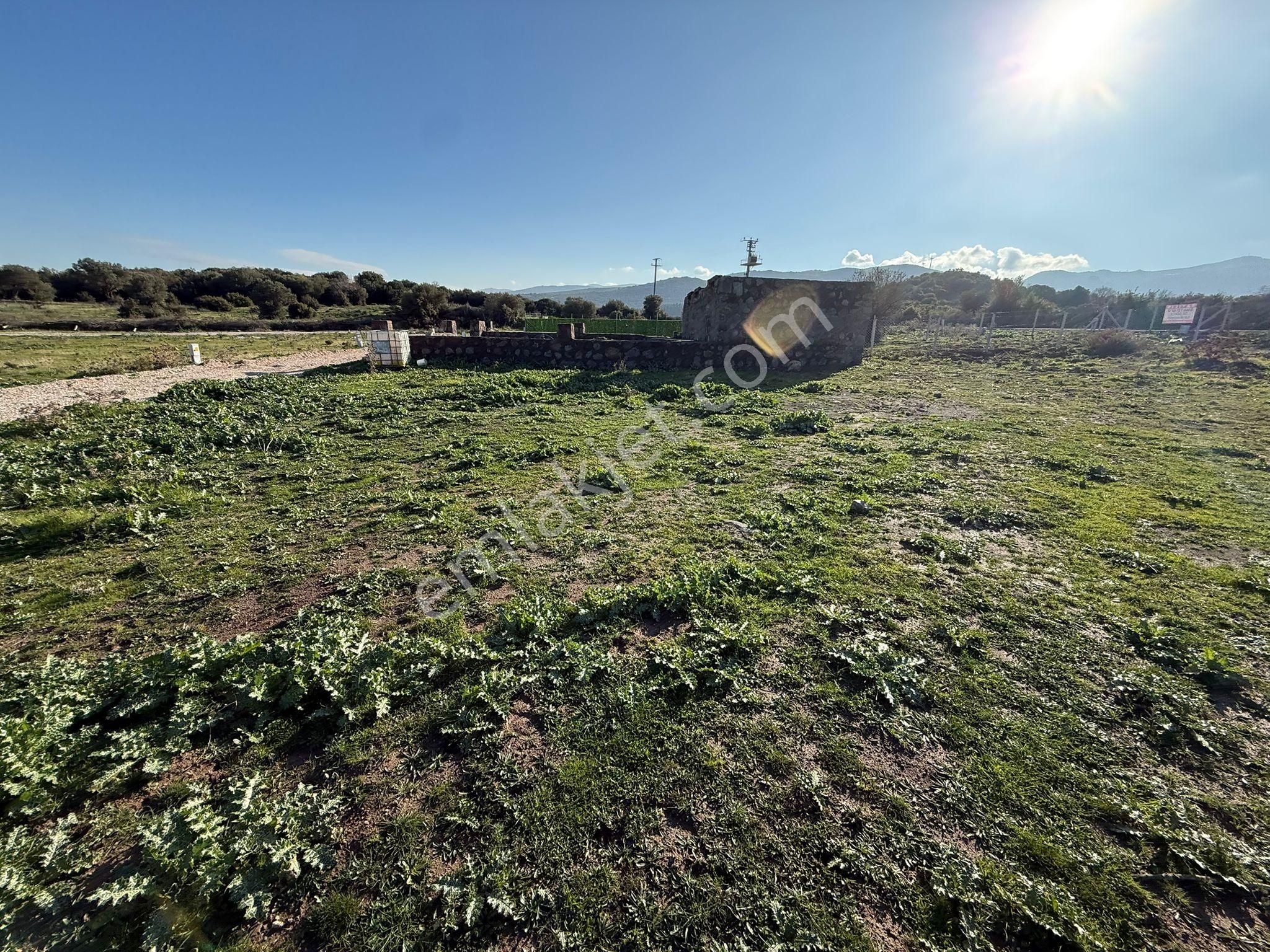 Menemen Emiralem Yayla Mah Kooperatıf Arsa Eklektırik Su Var - Görsel 7