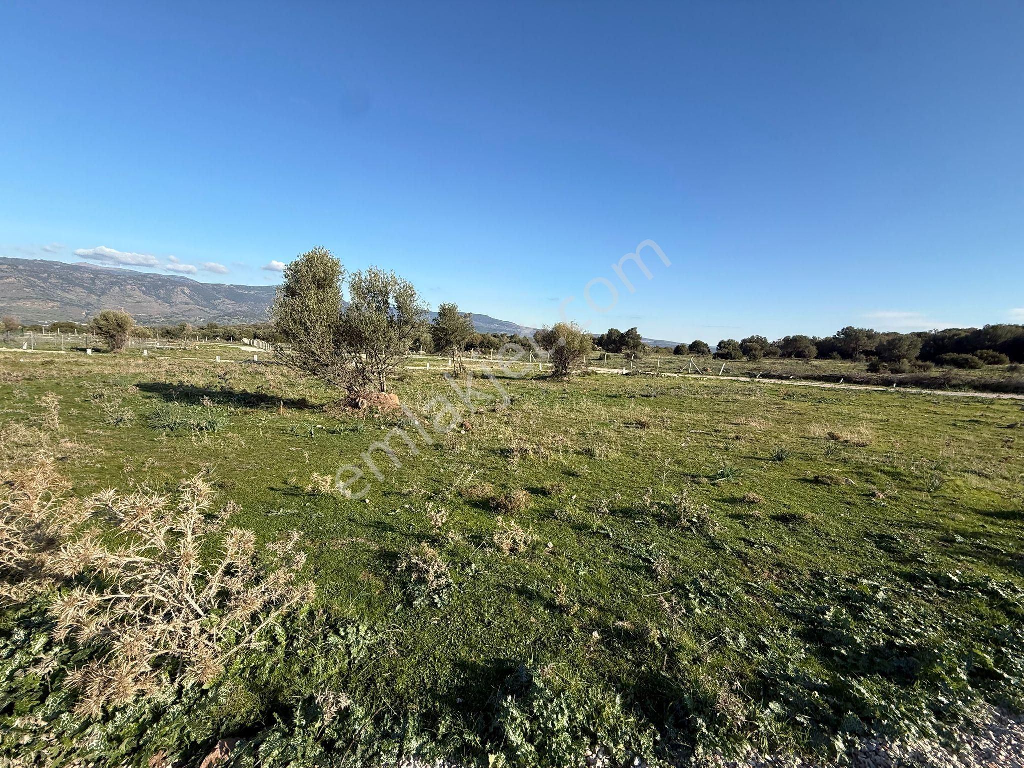 Menemen Emiralem Yayla Mah Kooperatıf Arsa Eklektırik Su Var - Görsel 12