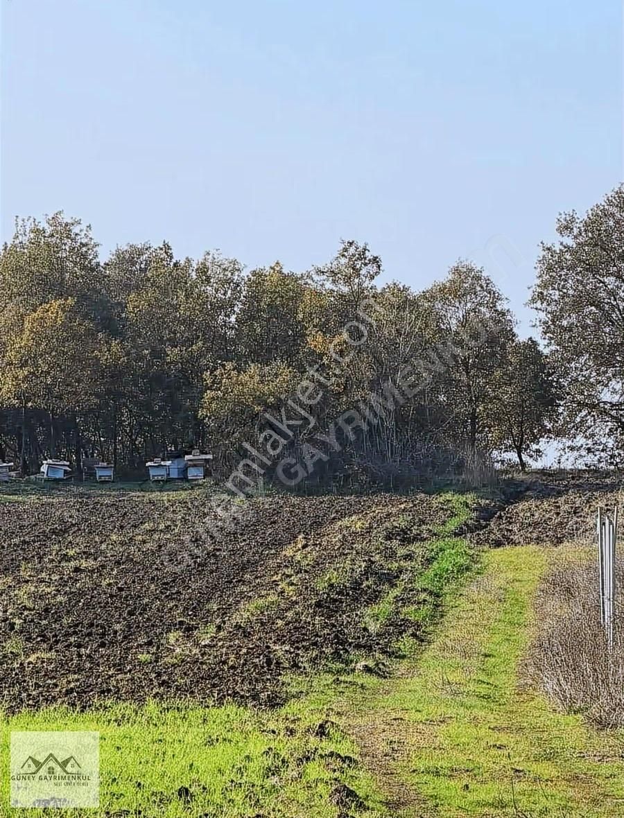 Güney'den Görükle Sakarya Yatırımlık Satılık 202 M2 Hobi Bahçesi