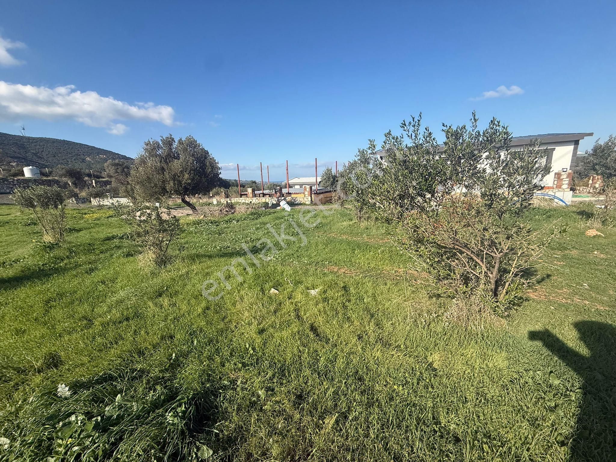 Yeni Foça Kozbeylide Muazzam Satılık Kooperatıf Arsa Elektirik Suyu Var 221 M2 - Görsel 19