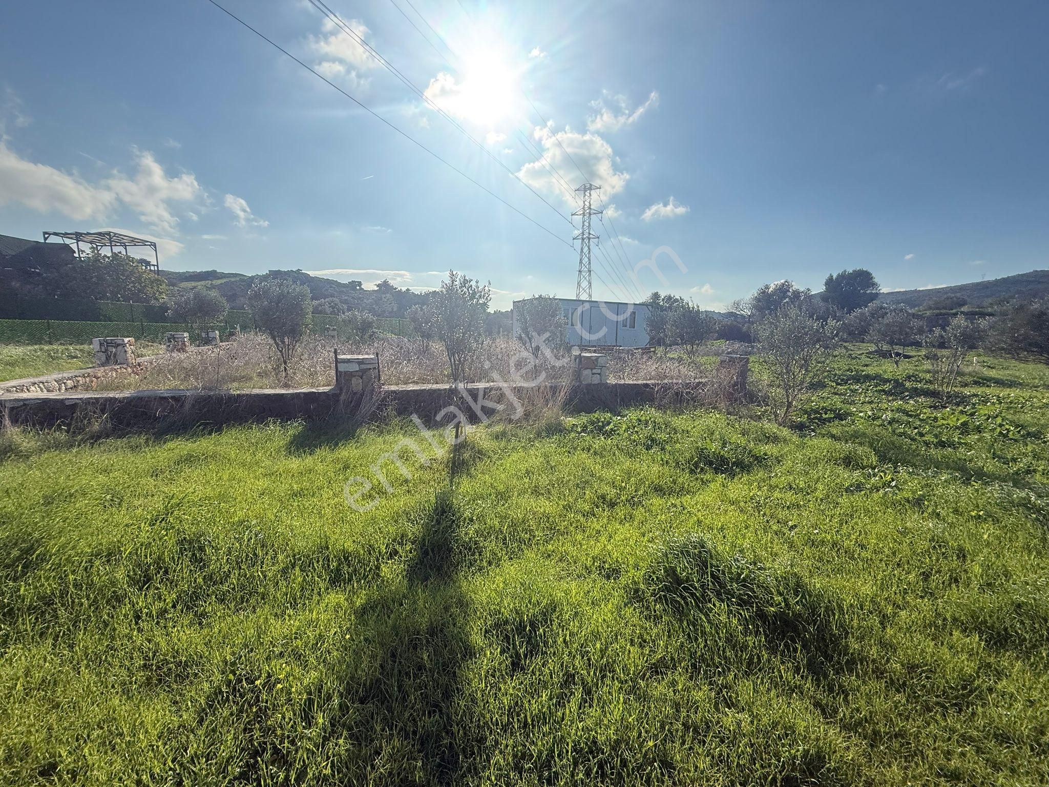 Yeni Foça Kozbeylide Muazzam Satılık Kooperatıf Arsa Elektirik Suyu Var 221 M2 - Görsel 13