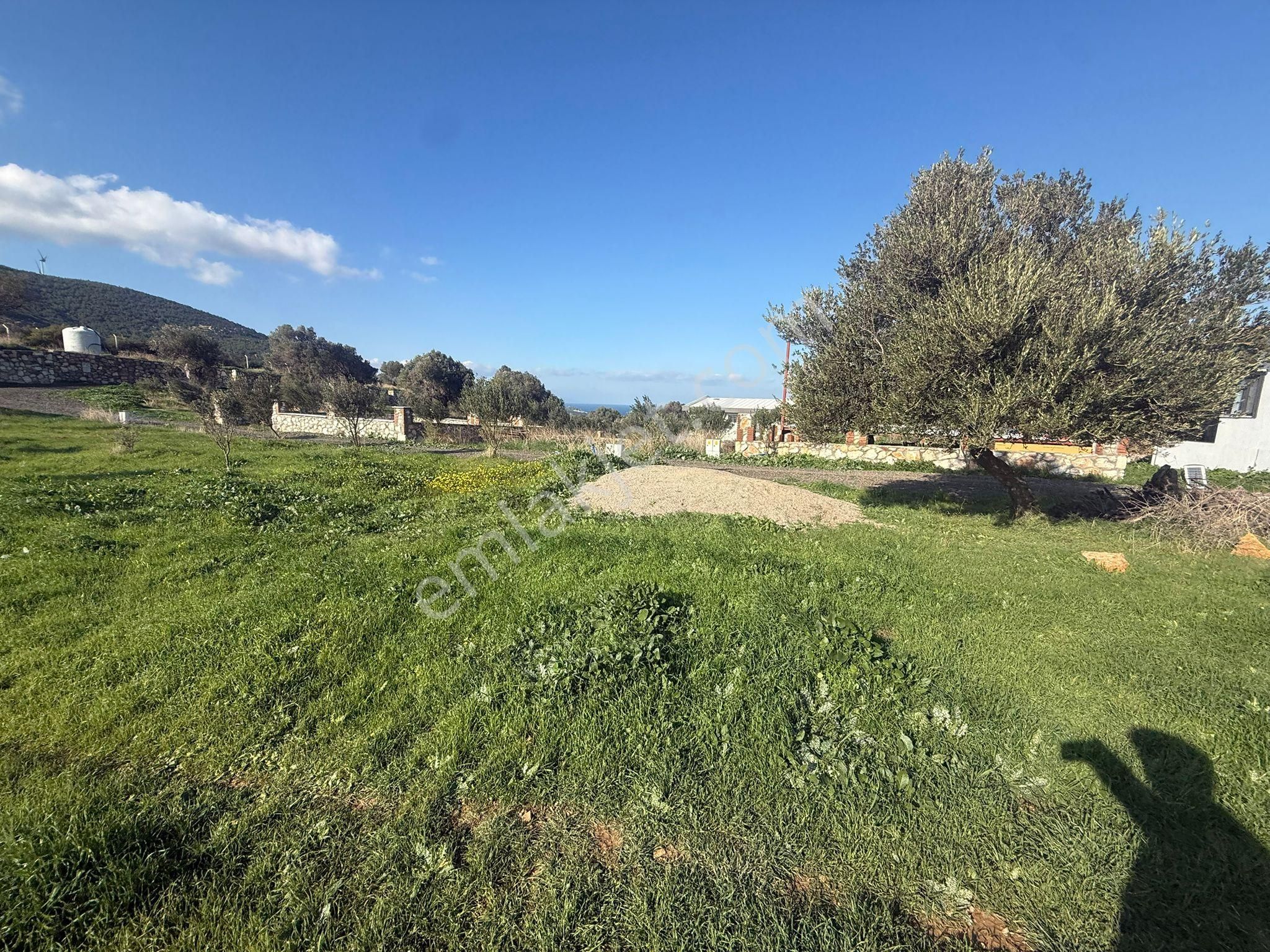 Yeni Foça Kozbeylide Muazzam Satılık Kooperatıf Arsa Elektirik Suyu Var 221 M2 - Görsel 14