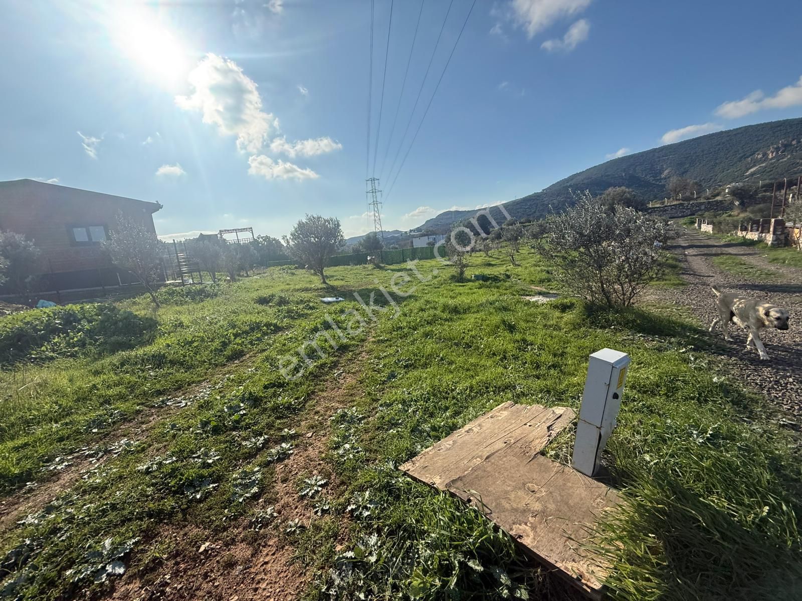 Yeni Foça Kozbeylide Muazzam Satılık Kooperatıf Arsa Elektirik Suyu Var 221 M2 - Görsel 28