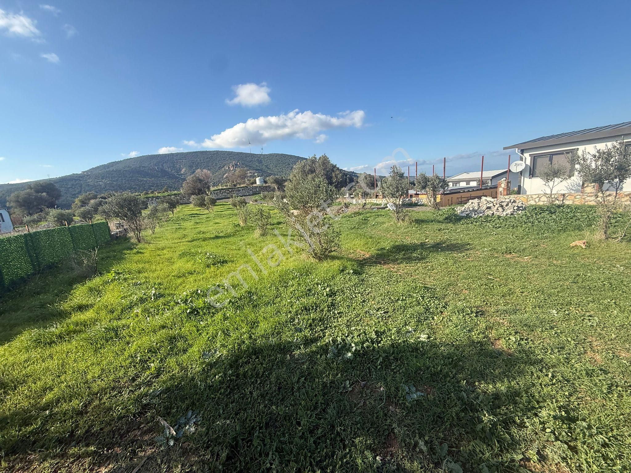 Yeni Foça Kozbeylide Muazzam Satılık Kooperatıf Arsa Elektirik Suyu Var 221 M2 - Görsel 22