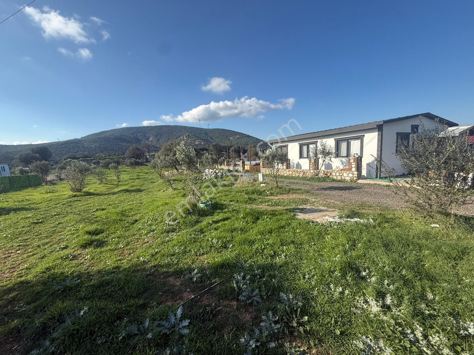 Yeni Foça Kozbeylide Muazzam Satılık Kooperatıf Arsa Elektirik Suyu Var 221 M2 - Görsel 25