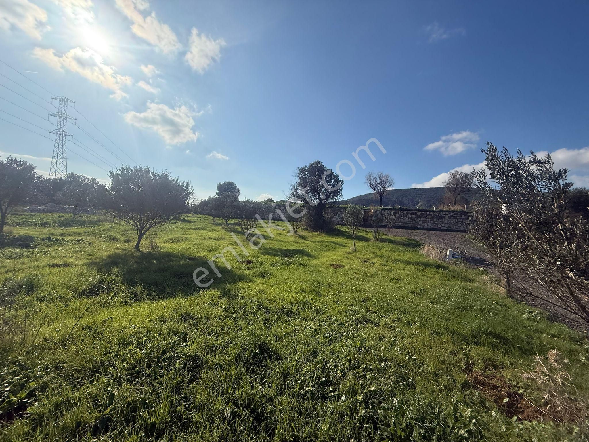 Yeni Foça Kozbeylide Muazzam Satılık Kooperatıf Arsa Elektirik Suyu Var 221 M2 - Görsel 7