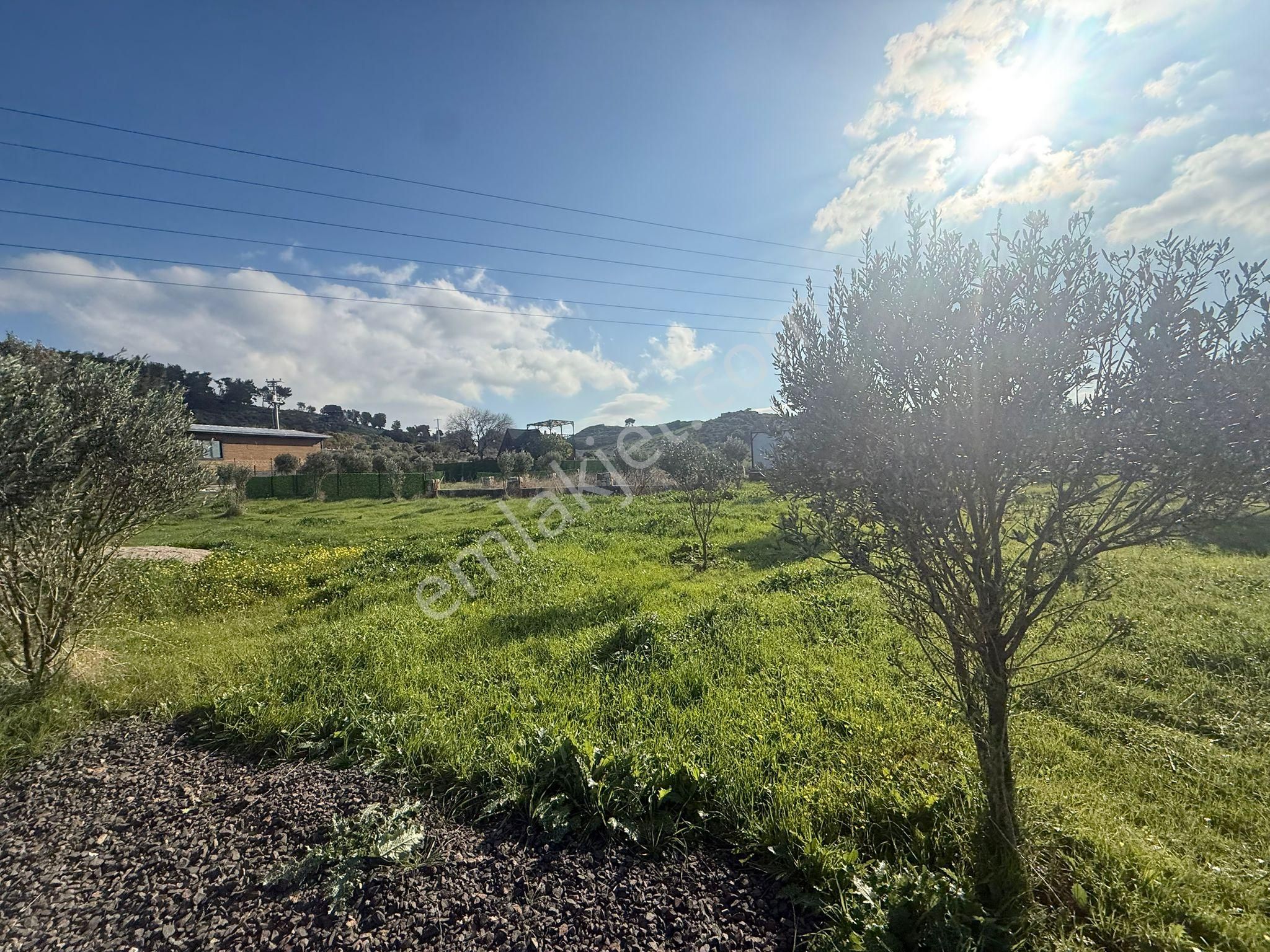 Yeni Foça Kozbeylide Muazzam Satılık Kooperatıf Arsa Elektirik Suyu Var 221 M2 - Görsel 6