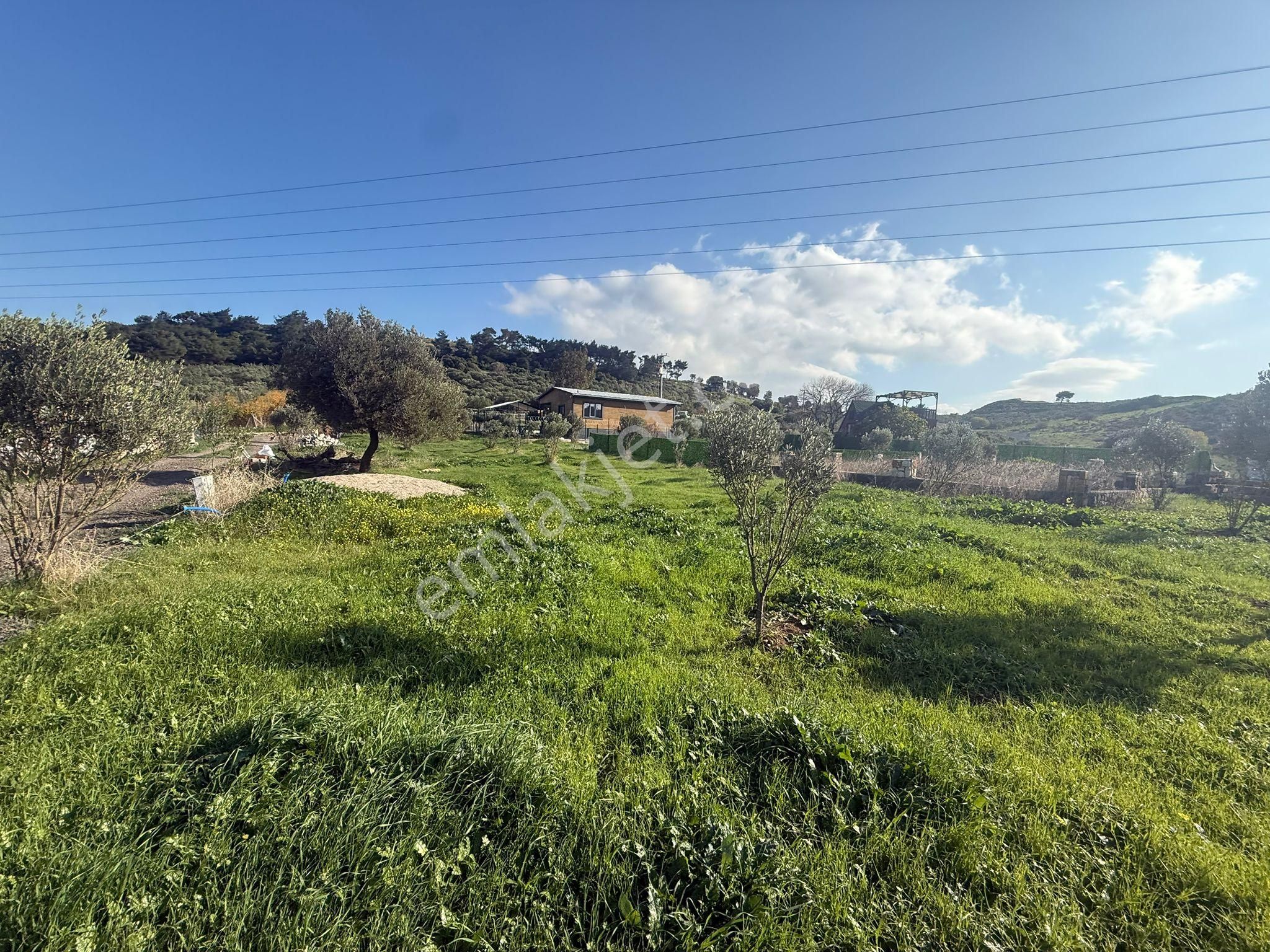 Yeni Foça Kozbeylide Muazzam Satılık Kooperatıf Arsa Elektirik Suyu Var 221 M2 - Görsel 9