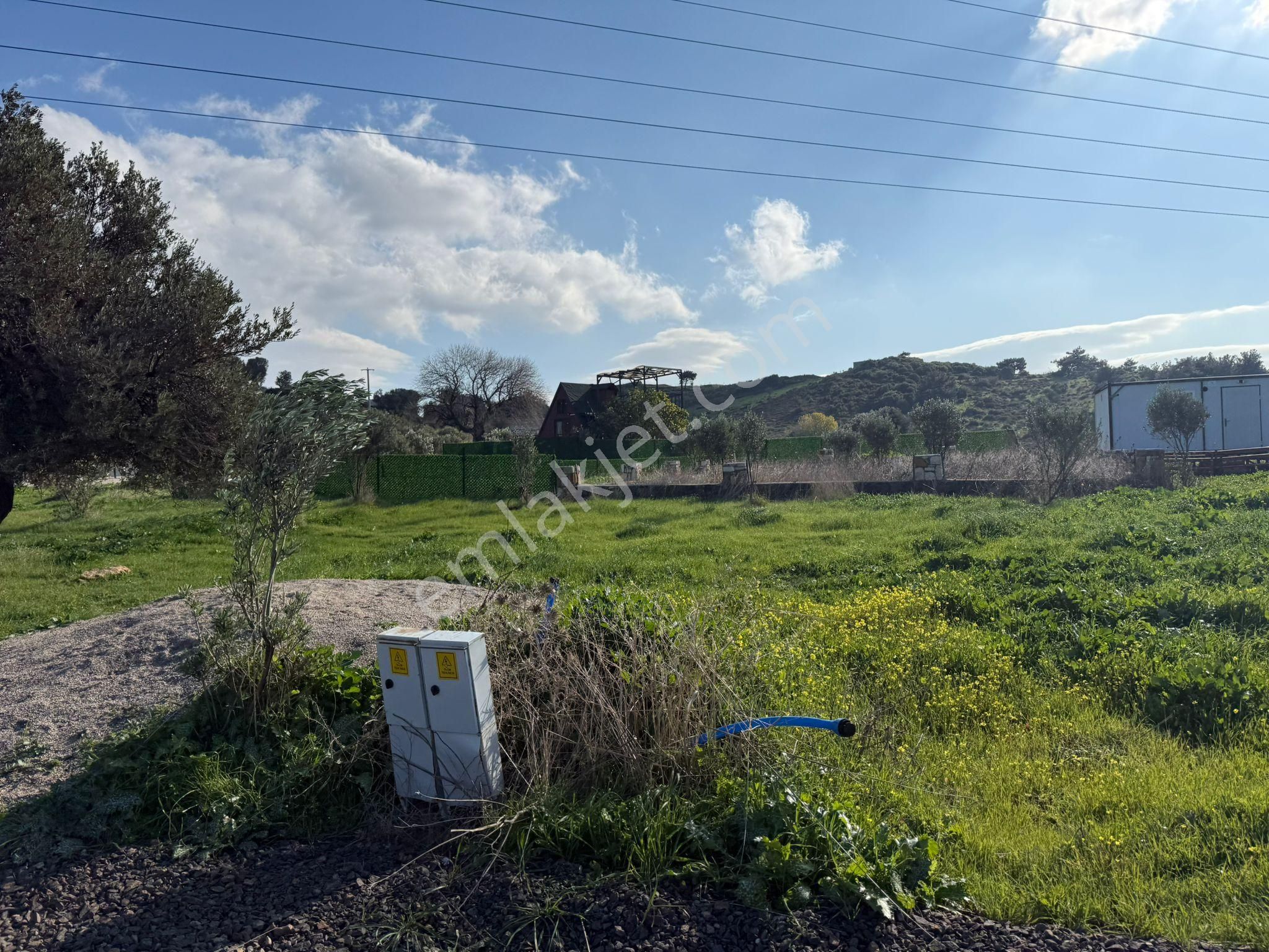 Yeni Foça Kozbeylide Muazzam Satılık Kooperatıf Arsa Elektirik Suyu Var 221 M2 - Görsel 3