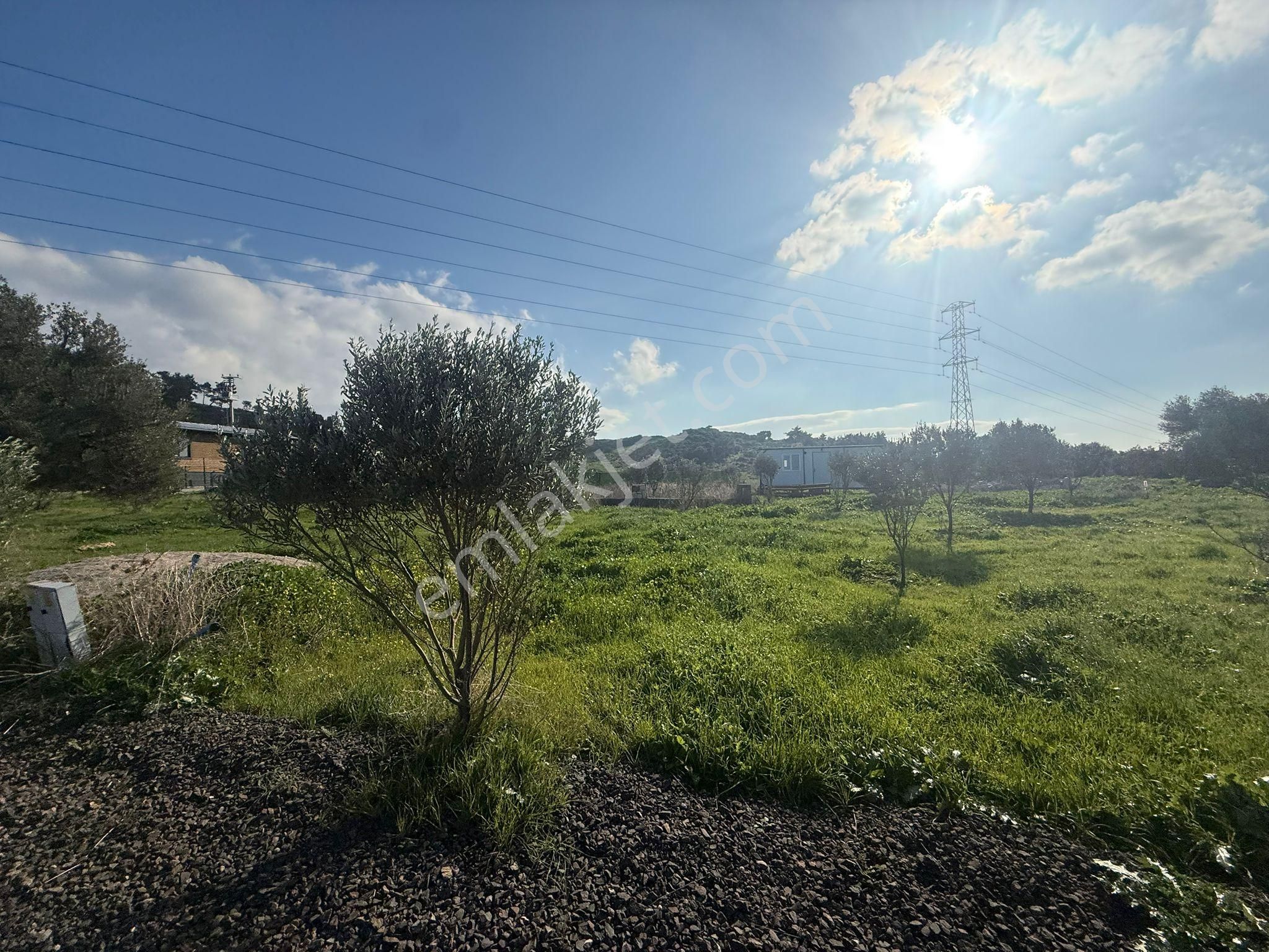 Yeni Foça Kozbeylide Muazzam Satılık Kooperatıf Arsa Elektirik Suyu Var 221 M2 - Görsel 4