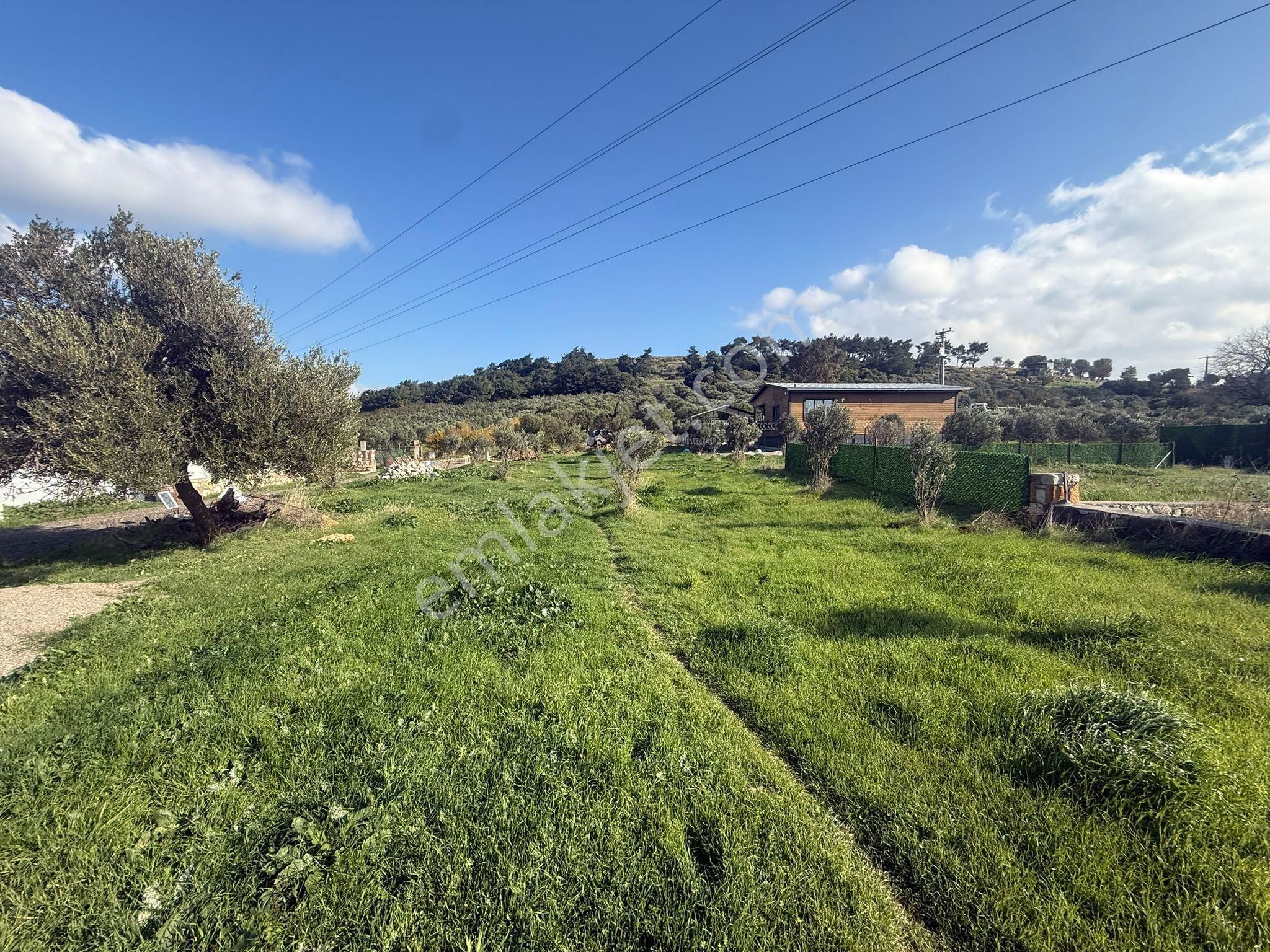 Yeni Foça Kozbeylide Muazzam Satılık Kooperatıf Arsa Elektirik Suyu Var 221 M2 - Görsel 12