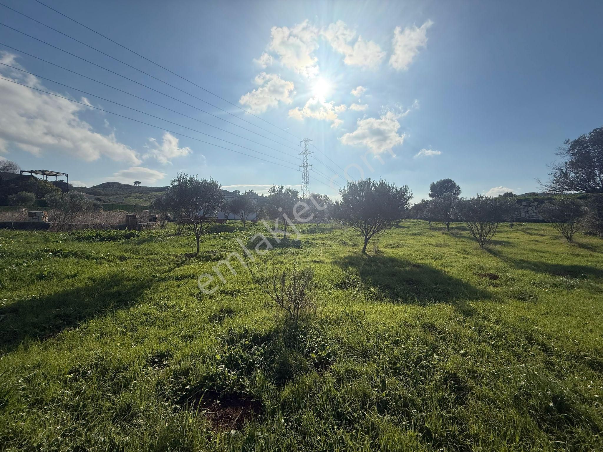 Yeni Foça Kozbeylide Muazzam Satılık Kooperatıf Arsa Elektirik Suyu Var 221 M2 - Görsel 8