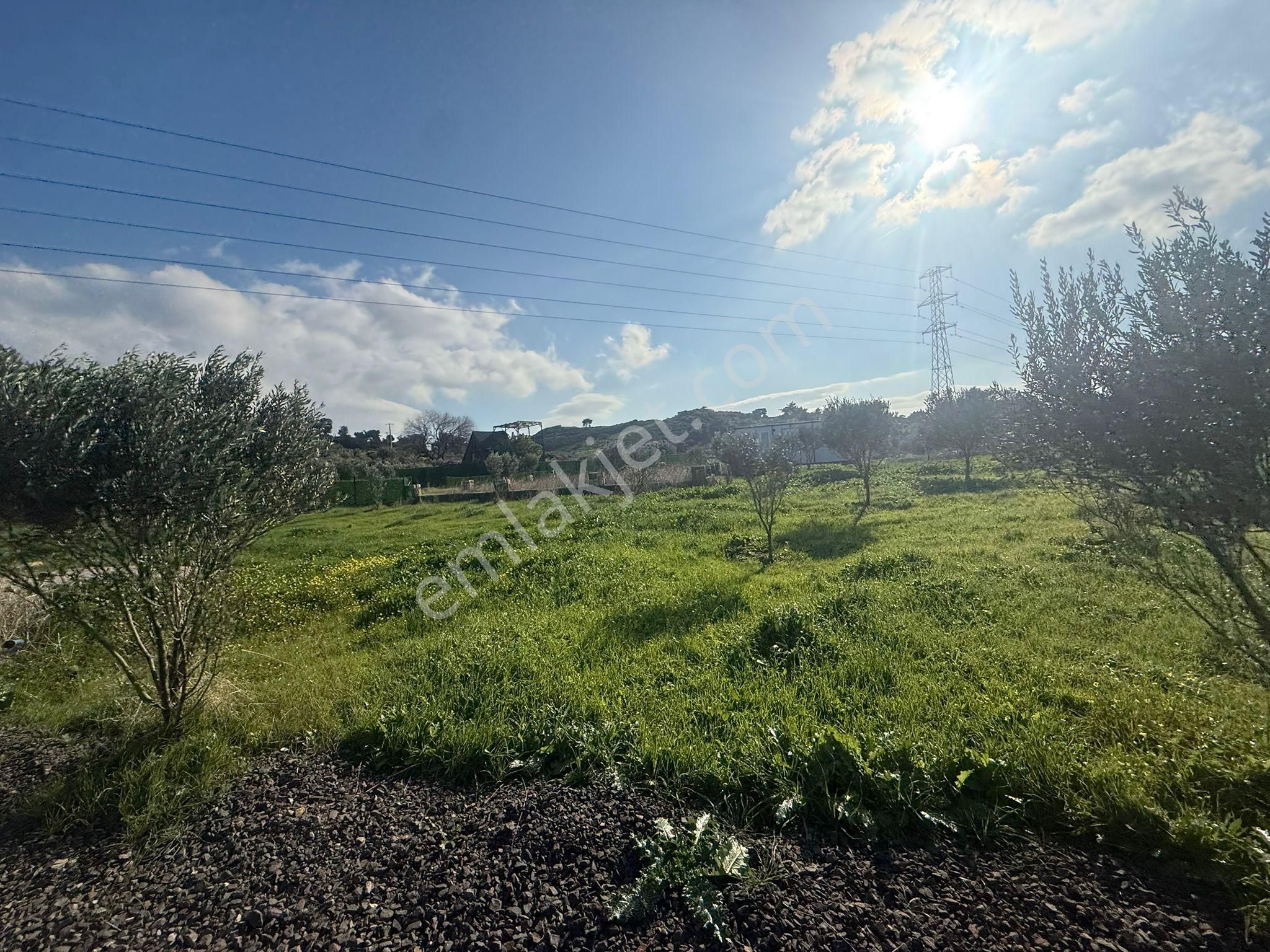 Yeni Foça Kozbeylide Muazzam Satılık Kooperatıf Arsa Elektirik Suyu Var 221 M2 - Görsel 5