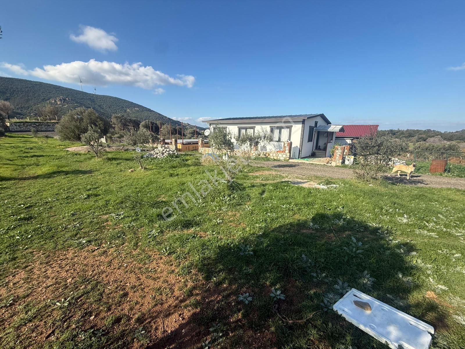 Yeni Foça Kozbeylide Muazzam Satılık Kooperatıf Arsa Elektirik Suyu Var 221 M2 - Görsel 24