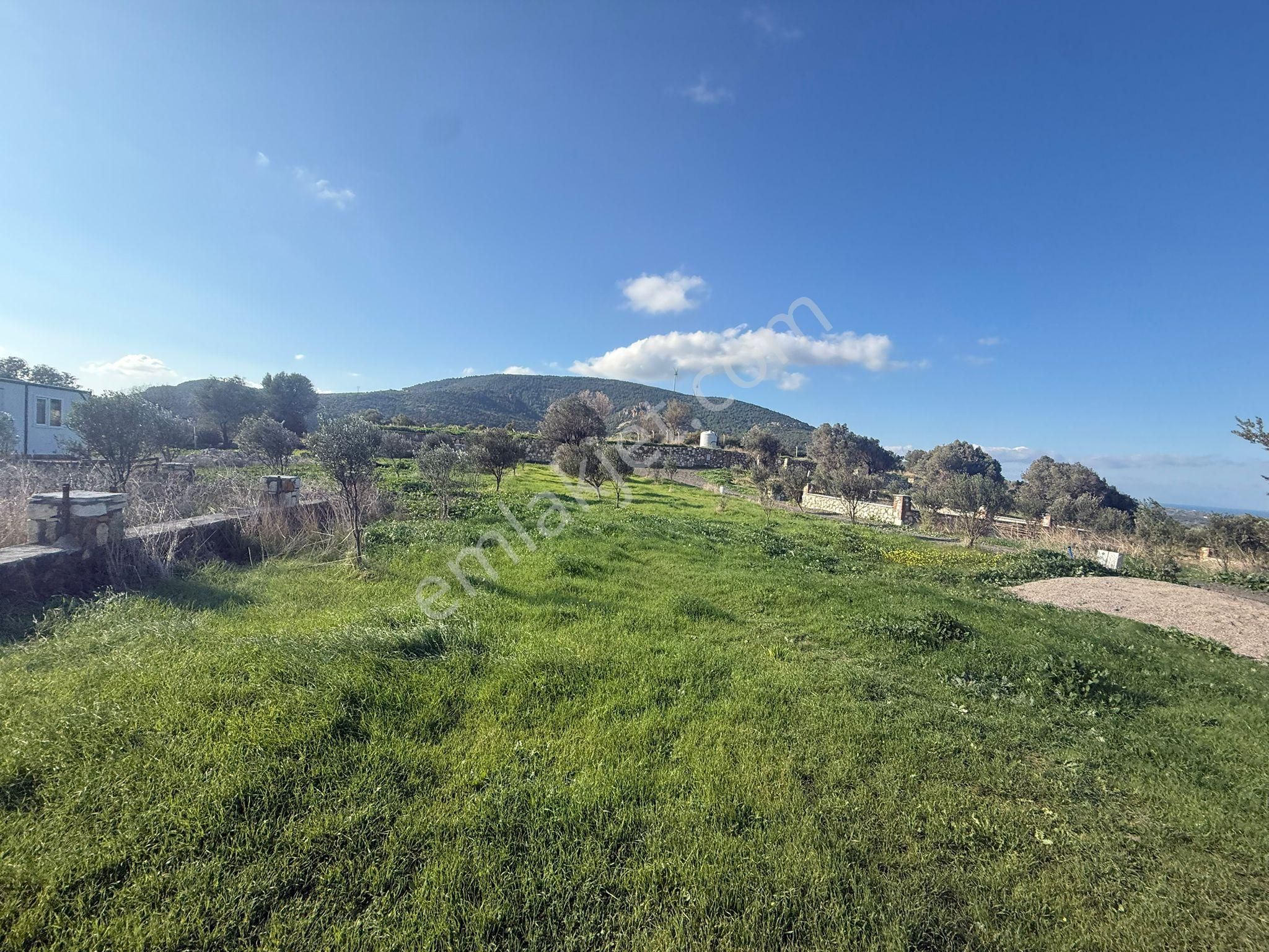 Yeni Foça Kozbeylide Muazzam Satılık Kooperatıf Arsa Elektirik Suyu Var 221 M2 - Görsel 15