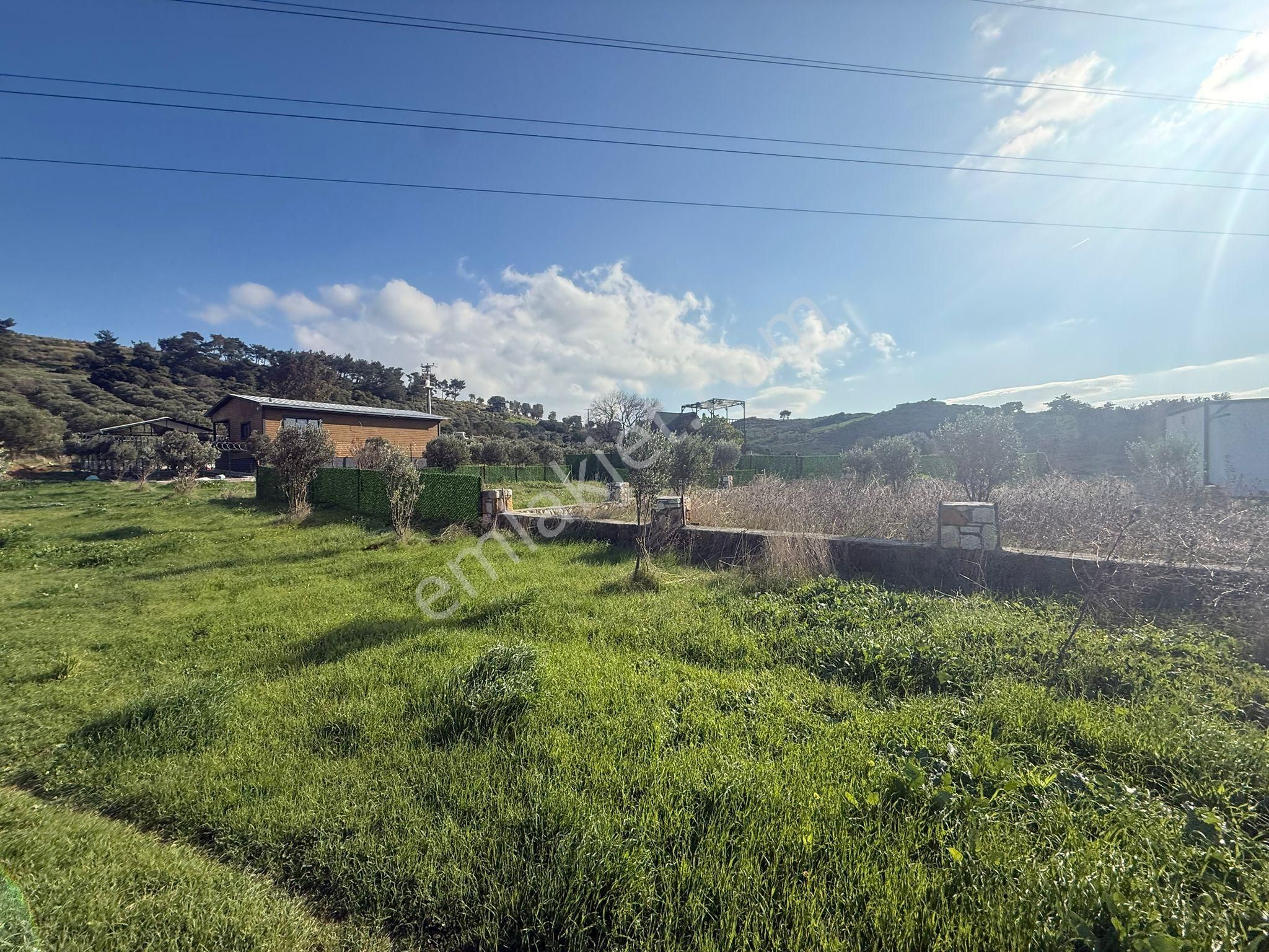 Yeni Foça Kozbeylide Muazzam Satılık Kooperatıf Arsa Elektirik Suyu Var 221 M2 - Görsel 11