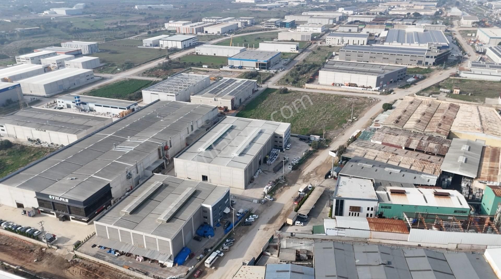 Kemalpaşa Osb 4.000 M2 Kapalı Fabrika Asfalta Direk Bağlantılı