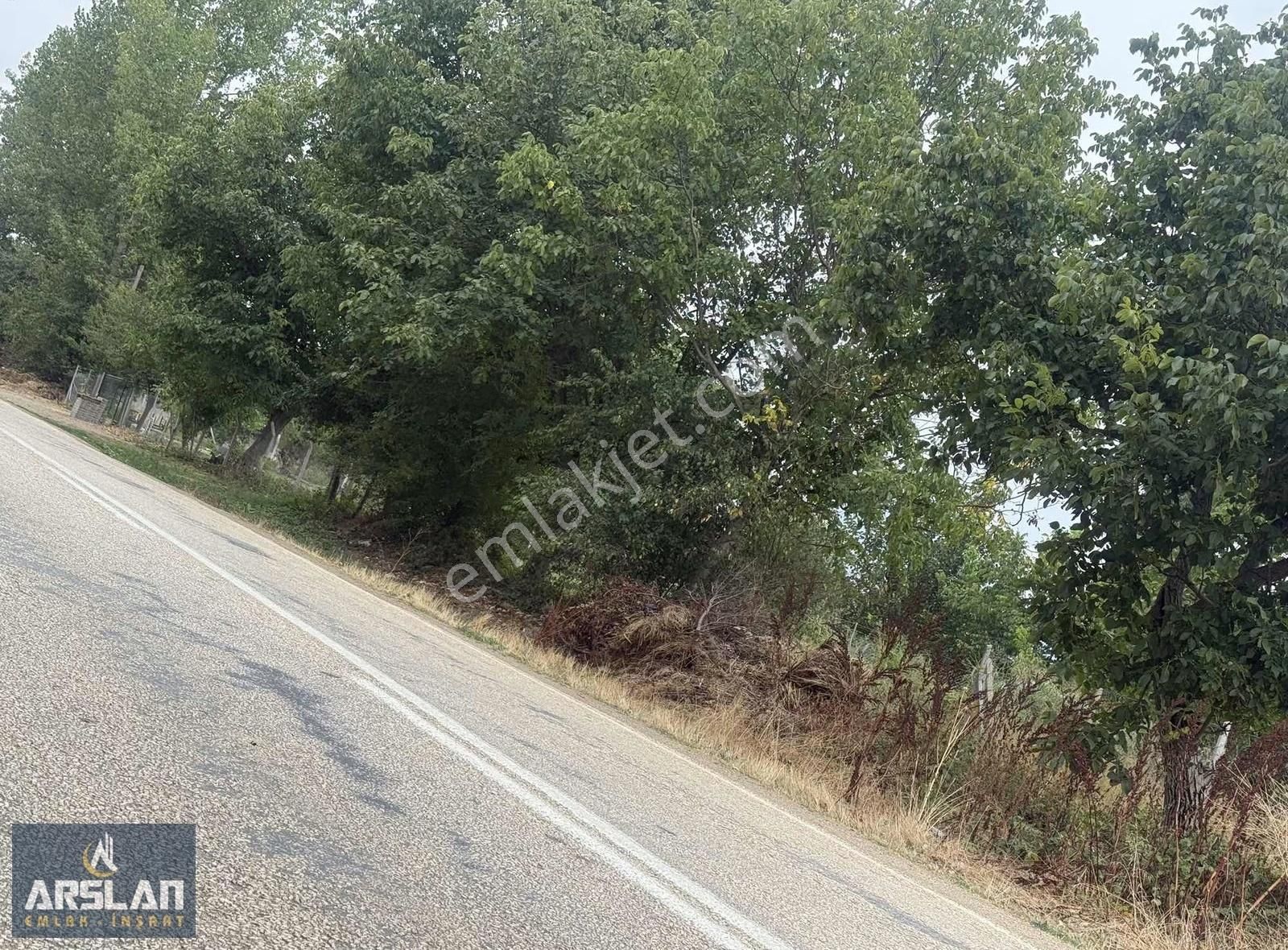 Arslan Emlak'tan İnegöl Küçük Yenice De Satılık Bahçe - Görsel 5