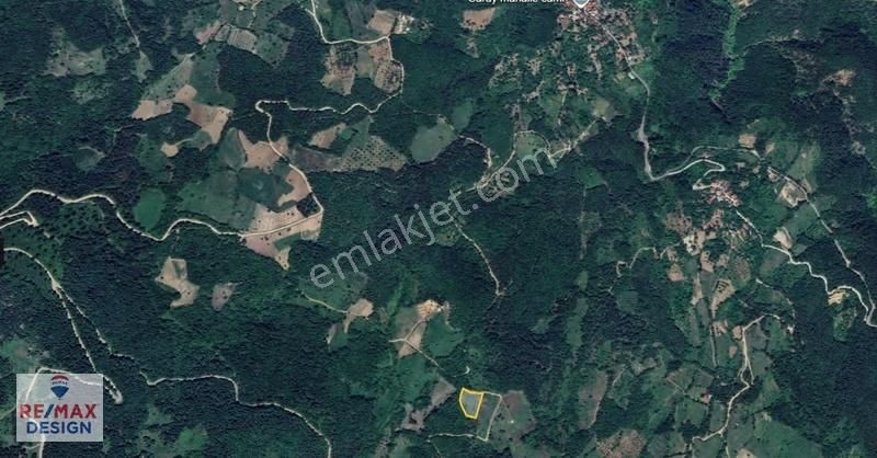 Re/max Design Buğra Çaktı Geyve'de Yatırımlık 3.195 M² Tarla - Görsel 2
