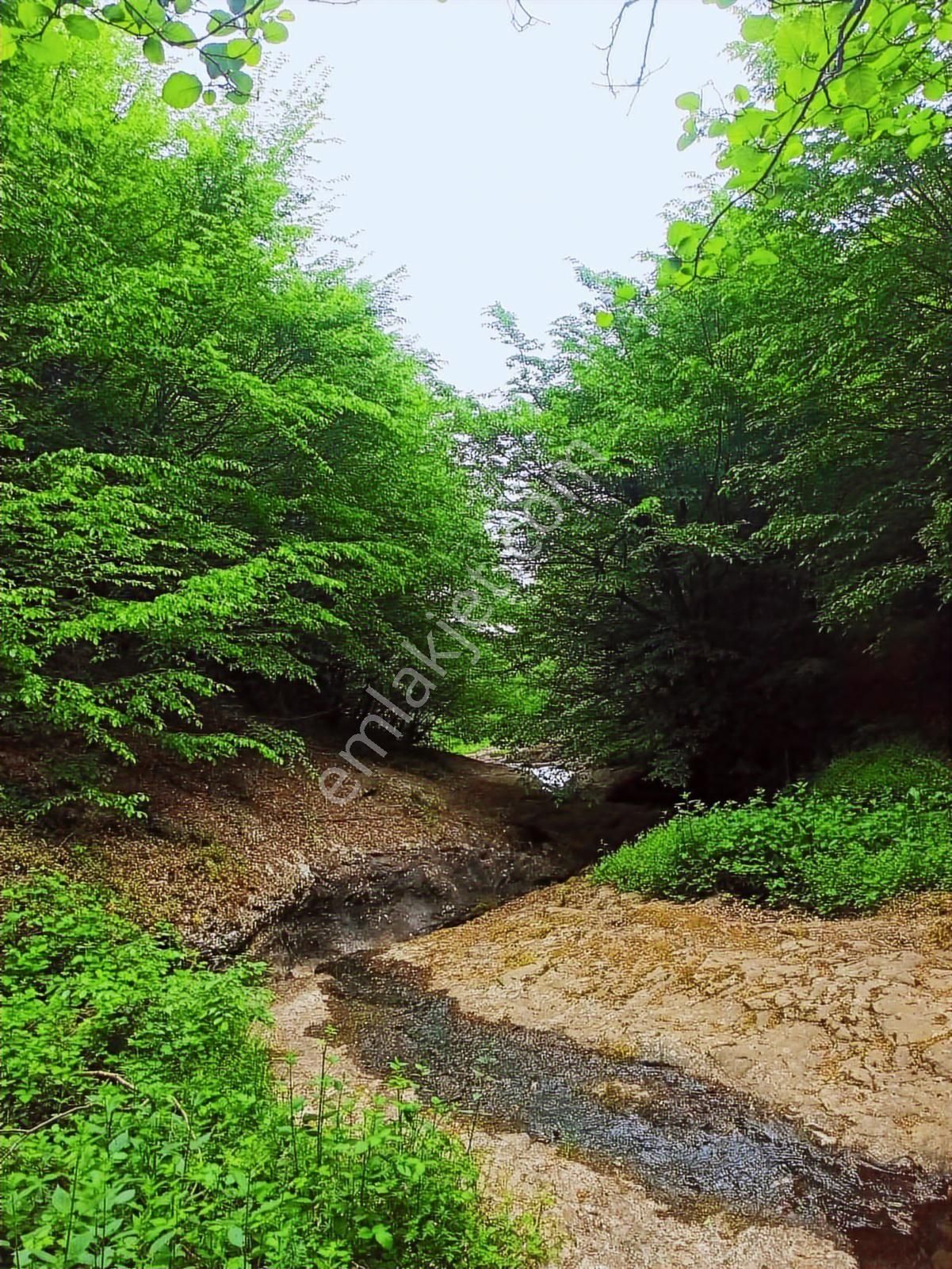 Damla North Blu Residance Da Eşyalı Satılık 2+1 Bahçe Katı Teras - Görsel 25