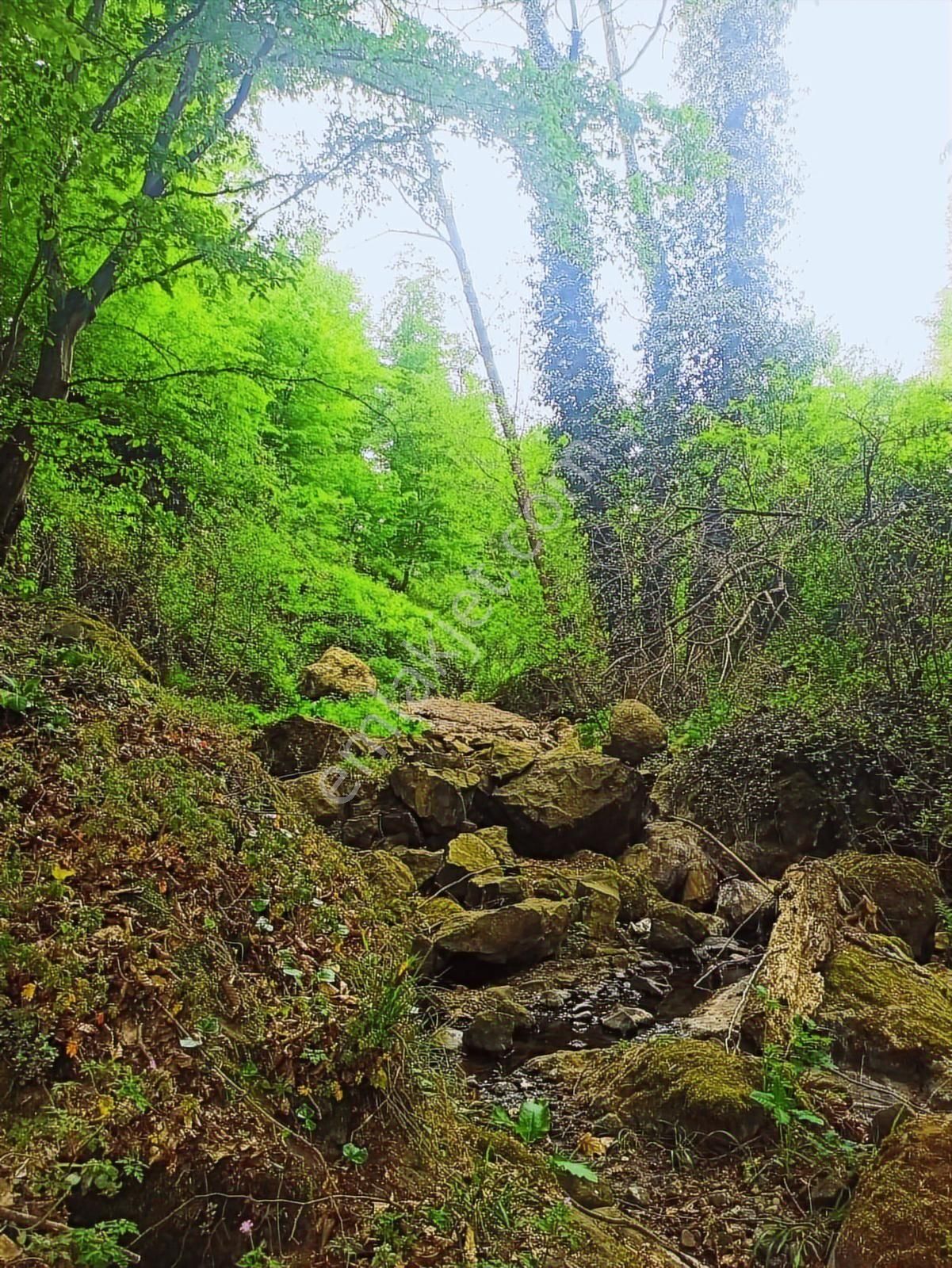 Damla North Blu Residance Da Eşyalı Satılık 2+1 Bahçe Katı Teras - Görsel 28